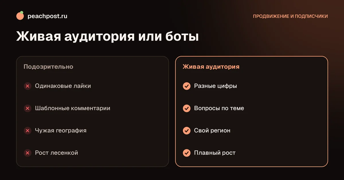 Как проверить аккаунт на ботов и накрутку в Instagram: живые и фальшивые подписчики