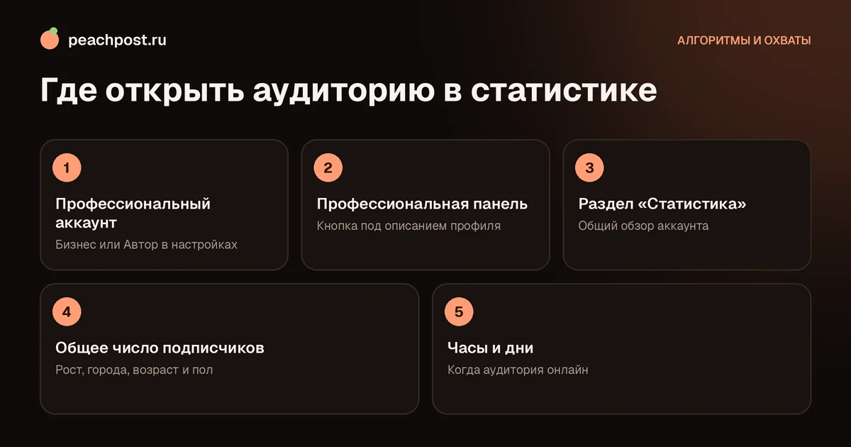 Как посмотреть аудиторию в статистике Instagram: пять шагов