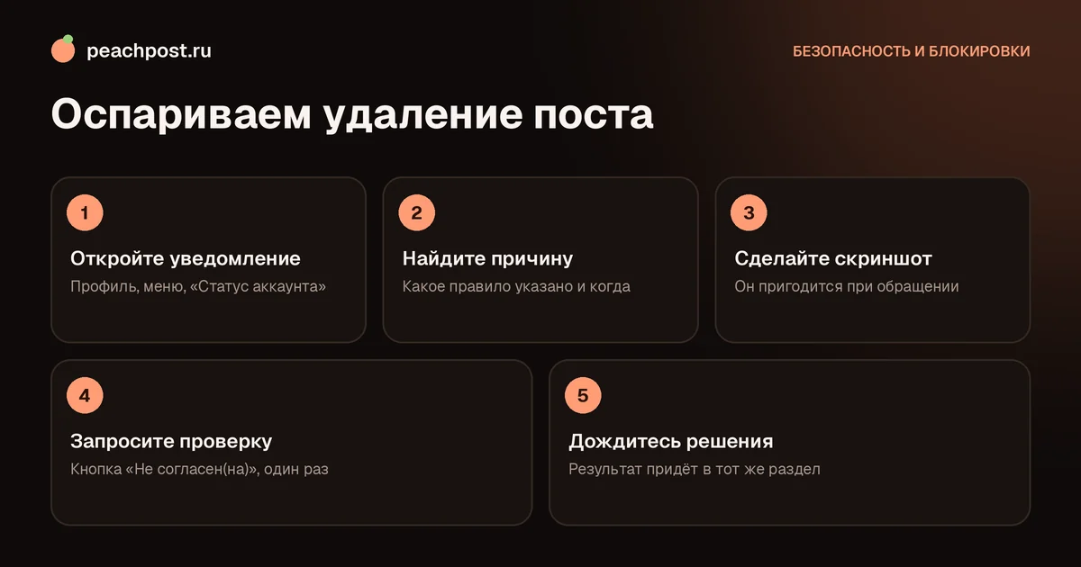 Как оспорить удаление поста в Instagram за нарушение правил: схема из пяти шагов