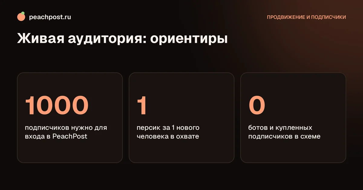 Как набирать живых подписчиков в Instagram: ориентиры живой аудитории